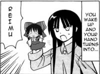 66217