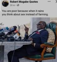 462686