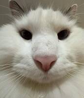 122564